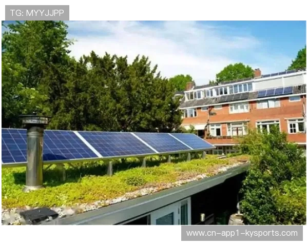 英超球场可持续设计获认证，太阳能板与雨水回收系统普及